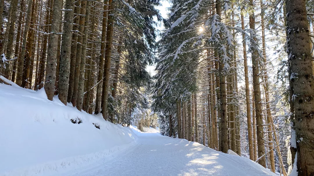Winterwandelen Frankrijk